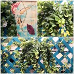 ‘nuotando nell’aria’ tra le onde capricciose di questa pianta tropicale. Esemplare di Aeschinanto radicans rasta dai fiori rosso vermiglio.
